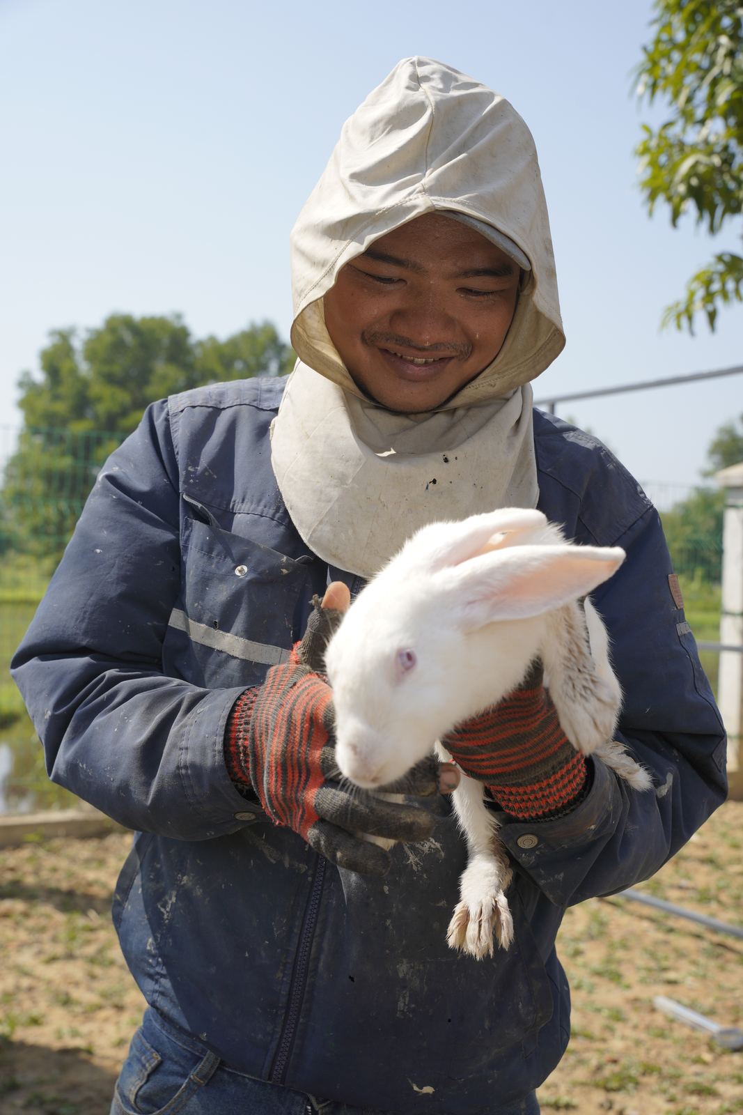 Chú thỏ trắng — cư dân khu biệt thự của Thỏ