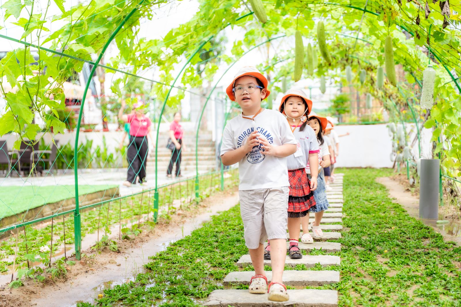 Các bạn nhỏ dạo bước dưới giàn bầu Vương Quốc Xanh